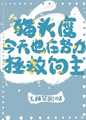 猫头鹰今天也在努力拯救饲主