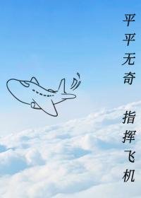 《平平无奇,指挥飞机》