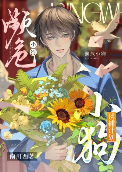 濒危小狗诱捕计划