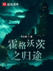 《(HP同人)霍格沃茨之归途》