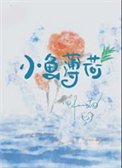 《小鱼薄荷》