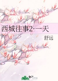 《西城往事2·一天》