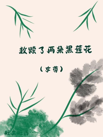 救赎了两朵黑莲花（女尊）