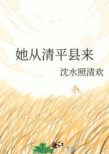 《她从清平县来》