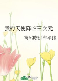 《我的天使降临三次元》