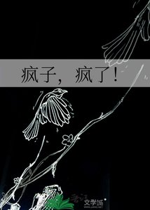 《疯子,疯了!》