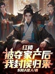 红楼：被夺家产后，我封侯归来