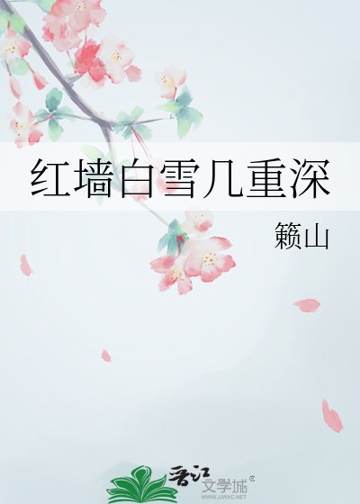 《红墙白雪几重深》