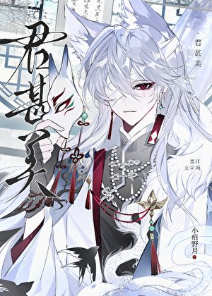 君甚美