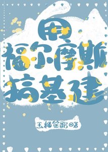 《用福尔摩斯搞基建》