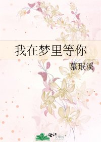 《我在梦里等你》