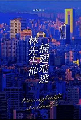 《林先生他插翅难逃》