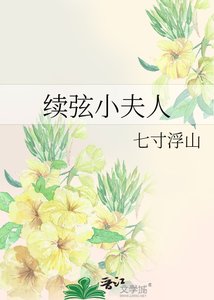 《续弦小夫人》