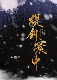 《提剑寰中》