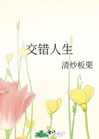 《交错人生》