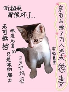 《穿书后撩了万人迷未婚妻》