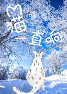 《猫一直响》