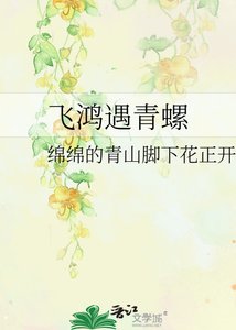 《飞鸿遇青螺》