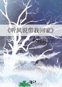 《听风说带我回家》