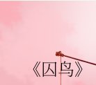 囚鸟