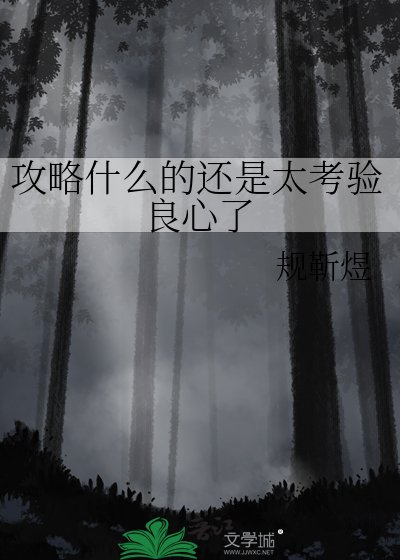 攻略什么的还是太考验良心了