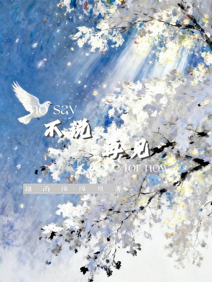 不说再见