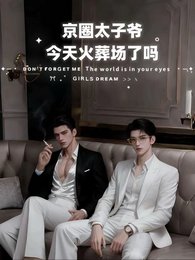 《京圈太子爷,今天火葬场了吗》