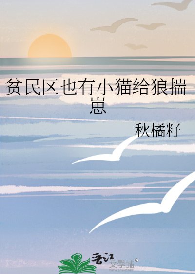 《贫民区也有小猫给狼揣崽》