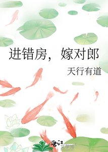 《进错房,嫁对郎》