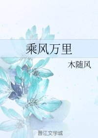 《乘风万里》