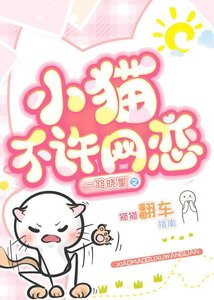 《小猫不许网恋》