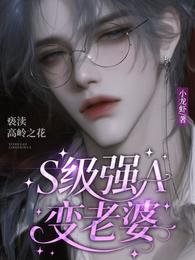 S级强A变老婆，亵渎高岭之花/我老婆是A级禁欲大佬！