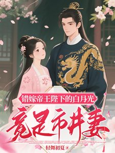 错嫁帝王陛下的白月光竟是市井妻