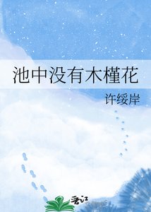 《池中没有木槿花》