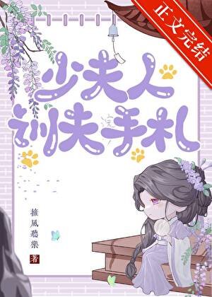 少夫人训夫手札