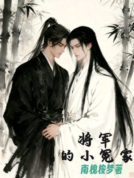 将军的小冤家