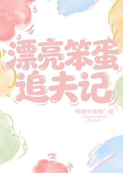 漂亮笨蛋追夫记