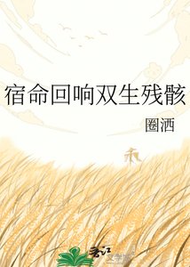 《宿命回响双生残骸》