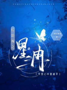 《(综影视同人)综影视之星冉平我心中意难平》