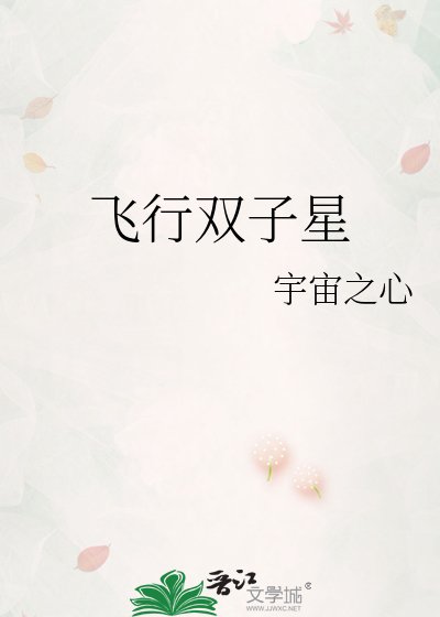 飞行双子星