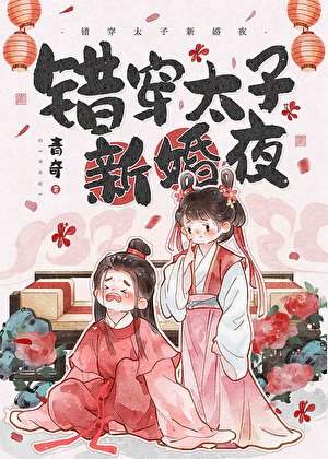 错穿太子新婚夜