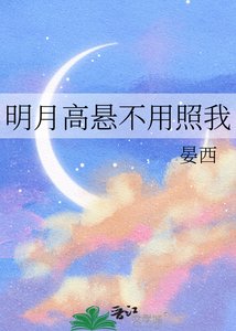 《明月高悬不用照我》