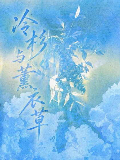 冷杉与薰衣草