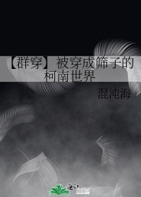 《【群穿】被穿成筛子的柯南世界》