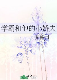 《学霸和他的小娇夫》