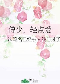 《傅少,轻点爱》