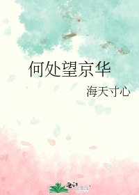 《何处望京华》