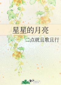 《星星的月亮》