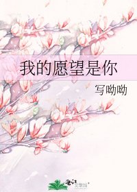 《我的愿望是你》