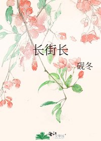 《长街长》